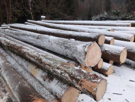 ČERSTVÁ smrková kulatina B/C, délka 10-12m