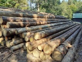 NABÍZÍME ZPRACOVÁNÍ KŮROVCOVÉ TĚŽBY A VÝKUP VYTĚŽENÉHO DŘEVA