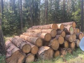 Prodám smrkovou kulatinu průmět 35+ cm délka 4m