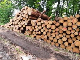 PRODÁM Borovici 4m 150m3