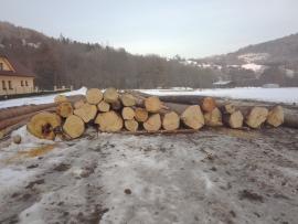 Predaj smrek-kôrovec