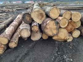 Predám smrekovú guľatinu vhodná na palety,dĺžky 2,5 m