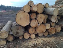 Predám smrekovú guľatinu vhodná na palety,dĺžky 2,5 m