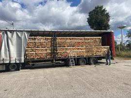 Hľadám LKW prepravcu