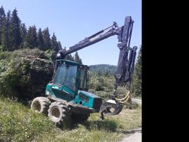 Ťažba dreva, frézovanie, mulčovanie