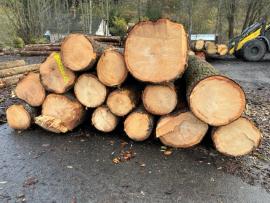 Prodej kulatiny Borovice Vejmutovka