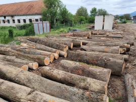 Predám 36m3 dubovej guľatiny