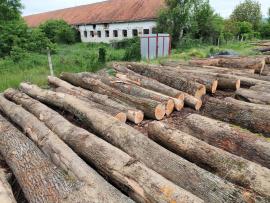 Predám 36m3 dubovej guľatiny