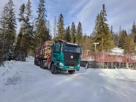 Preprava dreva – voľná technika (TATRA PHOENIX e6)