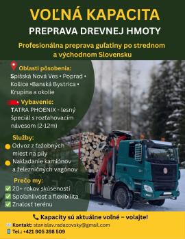 Preprava dreva – voľná technika (TATRA PHOENIX e6)