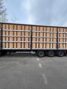 Jednorázové palety 1200x800
