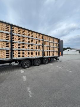 Jednorázové palety 1200x800