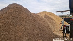PIliny zo separátora