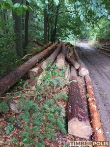 Predaj BO a SC vlákniny a guľatiny