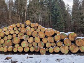 Jedľa Piliarska guľatina | Mäkké drevo | Guľatina | ALBA Forrest s.r.o.