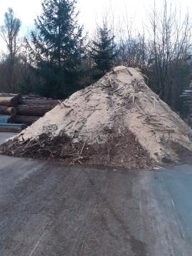 Jedľa