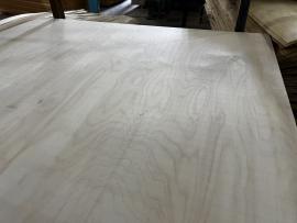 Preglejka Vodovzdorný | Veľkoplošné materiály | Forestree