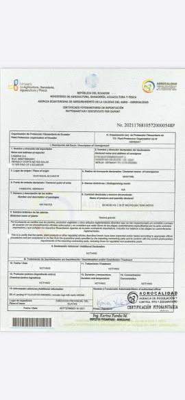 Teak Stolárske rezivo |  Tropické dreviny | Rezivo | SOFT IT SP .ZO.O SPÓŁKA Z OGRANICZONĄ ODPO