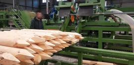 Iná technika Kompletn výroní Linka kulů . | Piliarska technika | Drevoobrábacie stroje | Drekos Made s.r.o
