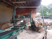 Pásová pila Wood-Mizer WM3500: Rychlá, výkonná a spolehlivá