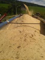 Sahanpuru Kuusi |  Polttopuu, briketit | FOR-LARIX, s.r.o.