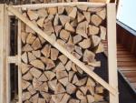 Palivové drevo Buk |  Palivo, brikety | 19th-Wood s.r.o.