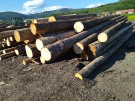 Smrek Piliarska guľatina |  Mäkké drevo | Guľatina | Peter Haladej 