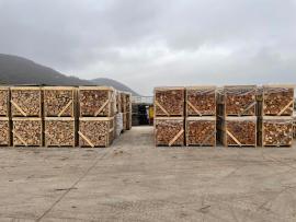 Brandhout Beuk |  Brandstof, briketten | Drevopal s.r.o.