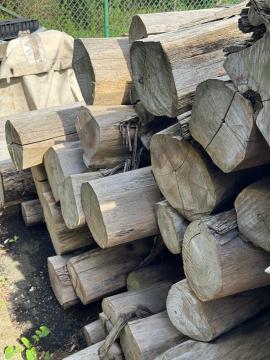 Teak Piliarska guľatina |  Tropické dreviny | Guľatina | SOFT IT SP .ZO.O SPÓŁKA Z OGRANICZONĄ ODPO