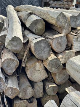 Teak Piliarska guľatina |  Tropické dreviny | Guľatina | SOFT IT SP .ZO.O SPÓŁKA Z OGRANICZONĄ ODPO