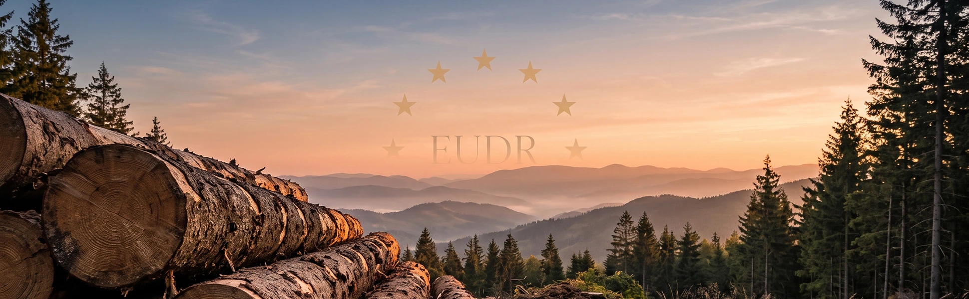 Naskladané guľatiny v lese – nariadenie EÚ o odlesňovaní (EUDR) pre drevo