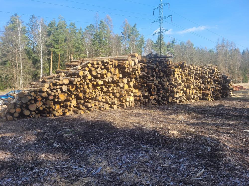 Predaj - palivové drevo mäkké listnaté 201m3