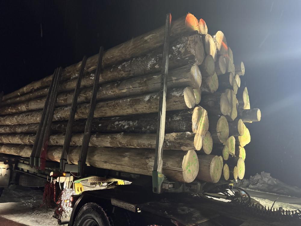 Guľatina jedľa smrek