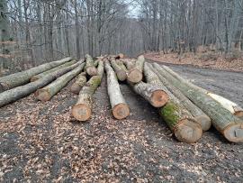 Predam guľatinu  jasen 