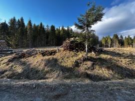 Palivové drevo - Breza & Buk 