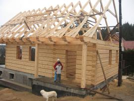 Uvažujete o stavbě roubenky anebo srubu?